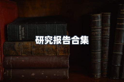 研究报告合集
